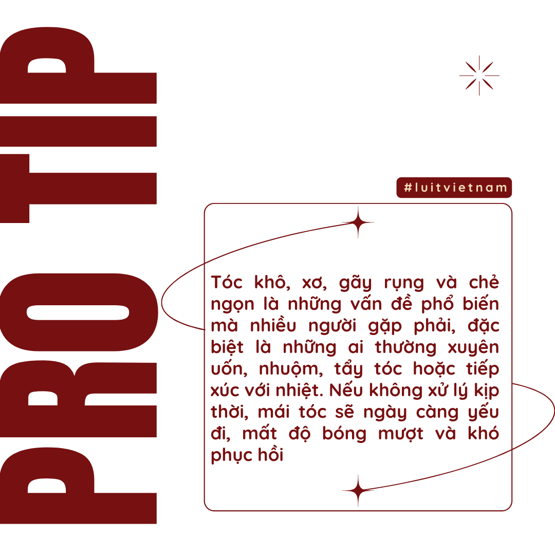 Giải Pháp Phục Hồi Tóc Khô, Xơ, Gãy Rụng, Chẻ Ngọn: Cách Chăm Sóc Tóc Hiệu Quả Tại Nhà