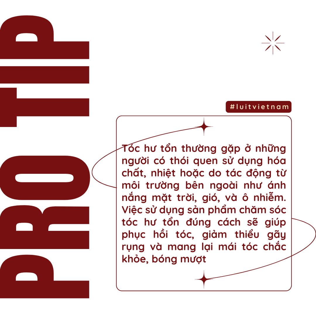 Sản Phẩm Chăm Sóc Tóc Hư Tổn: Giải Pháp Phục Hồi Tóc Khỏe Mạnh Từ Gốc Đến Ngọn